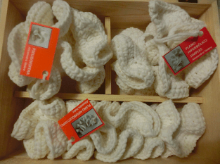 375708_508408342605632_544091553_n