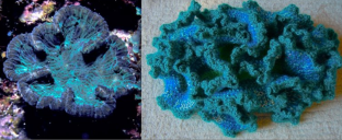 Ponto a Ponto Enche a Ciência o Espaço