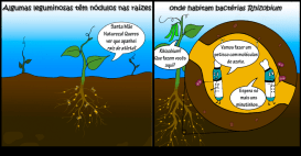 1979861_540109956102137_727733095_n