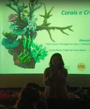 Screen Shot 2017-06-04 at 10.40.31