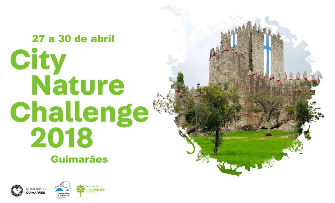 29872641_1638725412878813_6137029843987604378_o