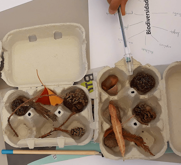 Screenshot 2018-11-06 15.27.55.png