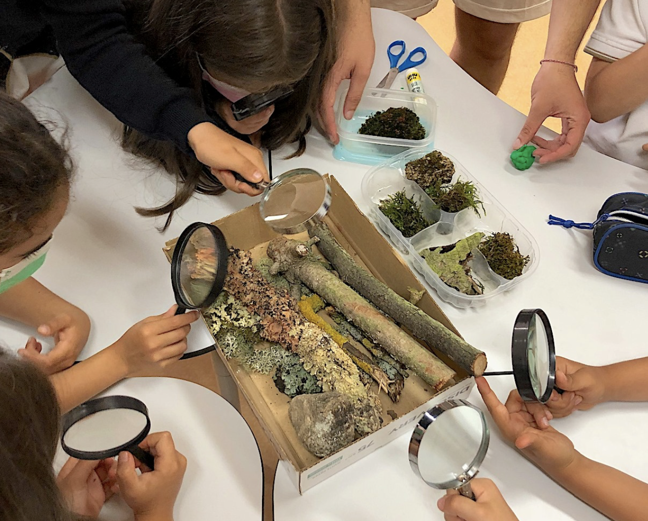 Screenshot 2021-06-12 at 19.22.54