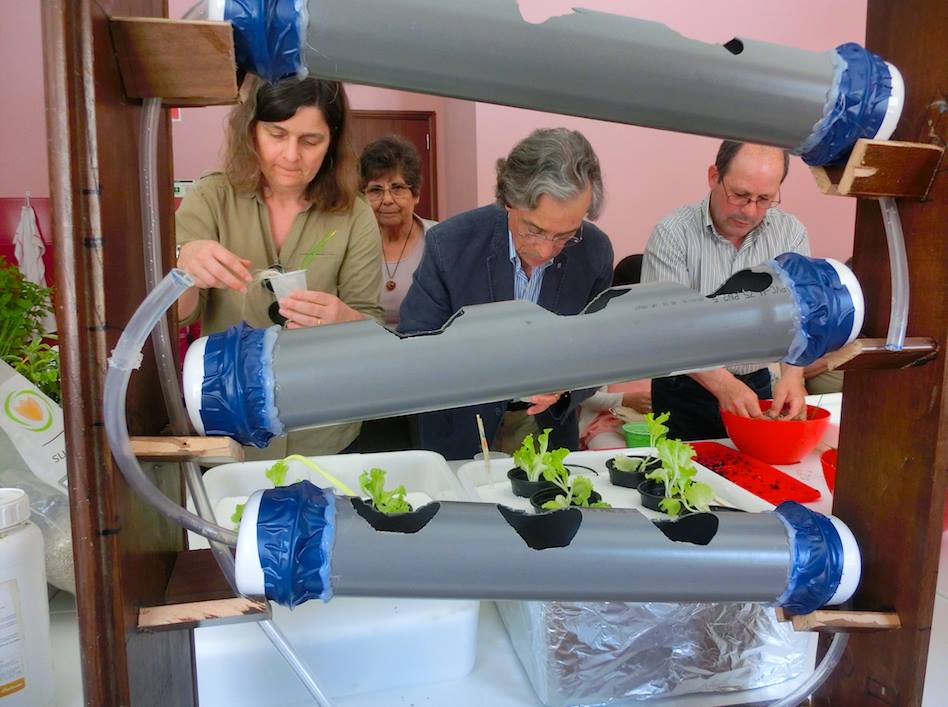 13419265_977149445731517_5580700545729405186_n