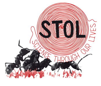 Screenshot 2018-11-05 20.20.44