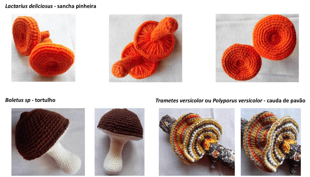 Screenshot 2018-11-02 15.51.54.png