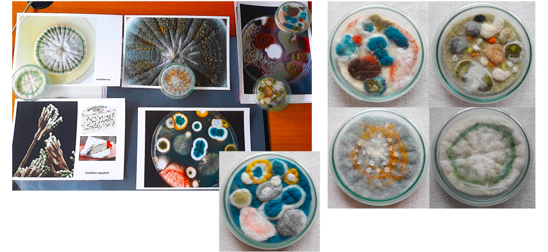 Screenshot 2018-11-02 16.24.16.png