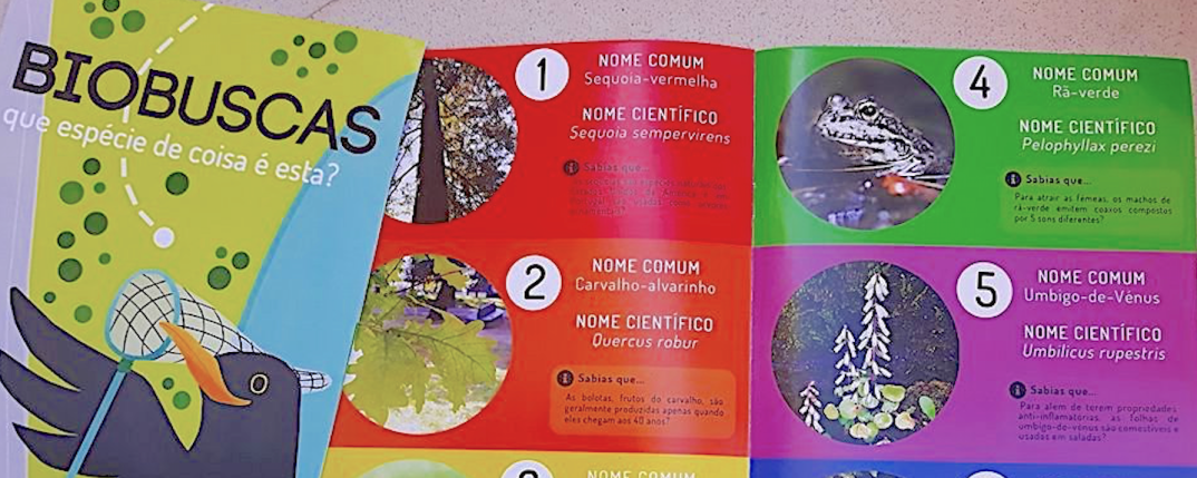 Screenshot 2018-11-04 03.44.22.png